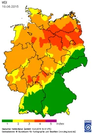 images wald.png